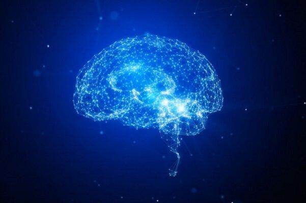 فریز کردن مغز برای حیات دوباره در آینده فریز کردن مغز برای حیات دوباره در آینده