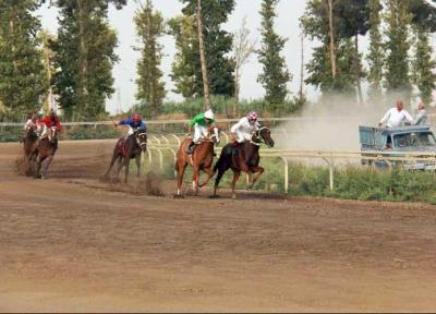 ماجرای رقابت ستاره والیبال و فوتبال کشور در مسابقات اسب سواری