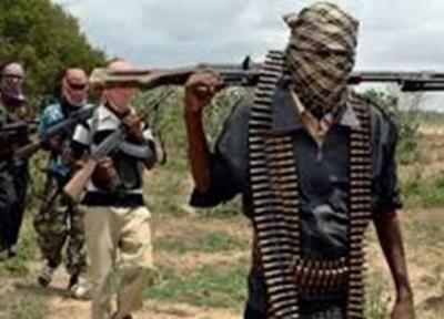 کشته شدن 120 تروریست در عملیات نظامی در نیجر