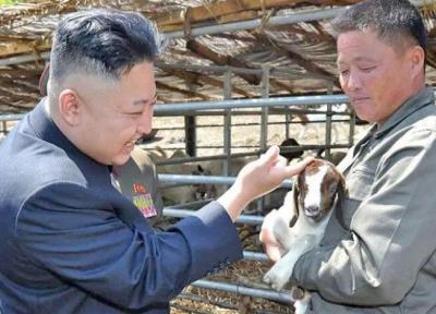 حل بحران غذای کره شمالی با گوشت سگ؟ ، کیم جونگ-اون دستور جمع آوری سگ های خانگی را صادر کرد