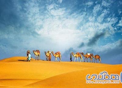 صحرای محافظت شده دبی ، تجربه سافاری در دبی