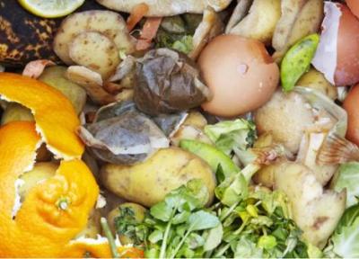 کمپوست چیست و چه کاربردی در صنعت چاپ و بسته بندی داره؟